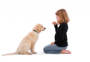 child-training-dog