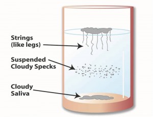 SpitTest